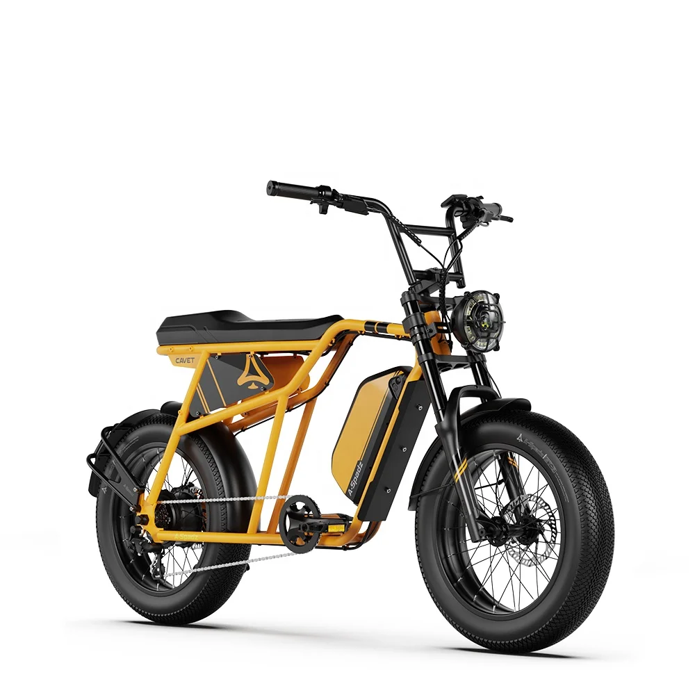 Drop Shipping Aluminum Alloy Down Tude Battery 1000W 48V Ebike Fat Tire City Electric Hybrid Bike