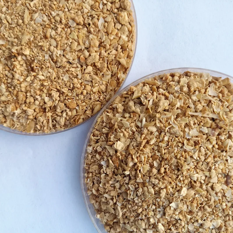 top quality promote health chicken animal feed wheat pollard