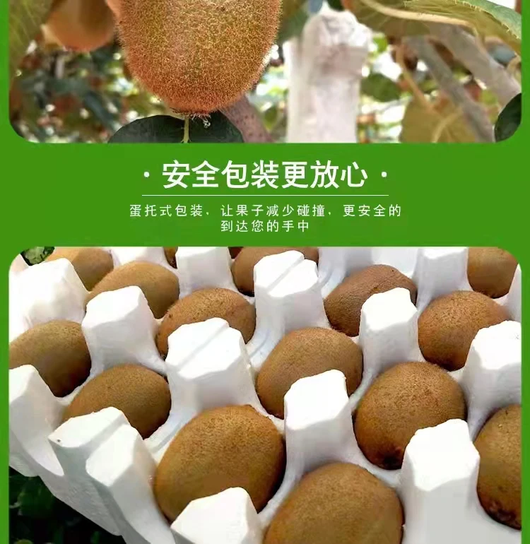 Best Price Fresh Kiwi for Export Food Grade Sweet and Sour Kiwi Fruit Natural Green and Yellow Kiwi Products