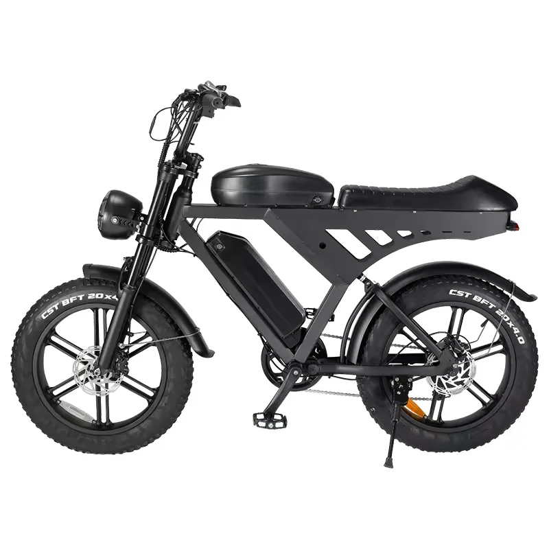 Long Range Fat Tire Hidden Dual Batteries Electric Mountain Bike Bicycle 1000w 48v 15ah Ebike China Manufacturer