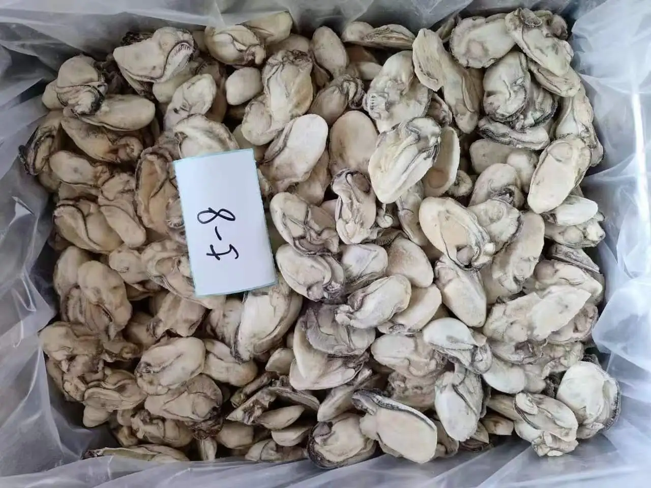 New Season Frozen Oyster Meat Shell-Off Cooked Oyster Meat Premium Oyster Product