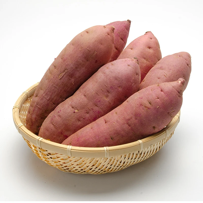
Hot sale low heat organic delicious purple sweet potato from japan 