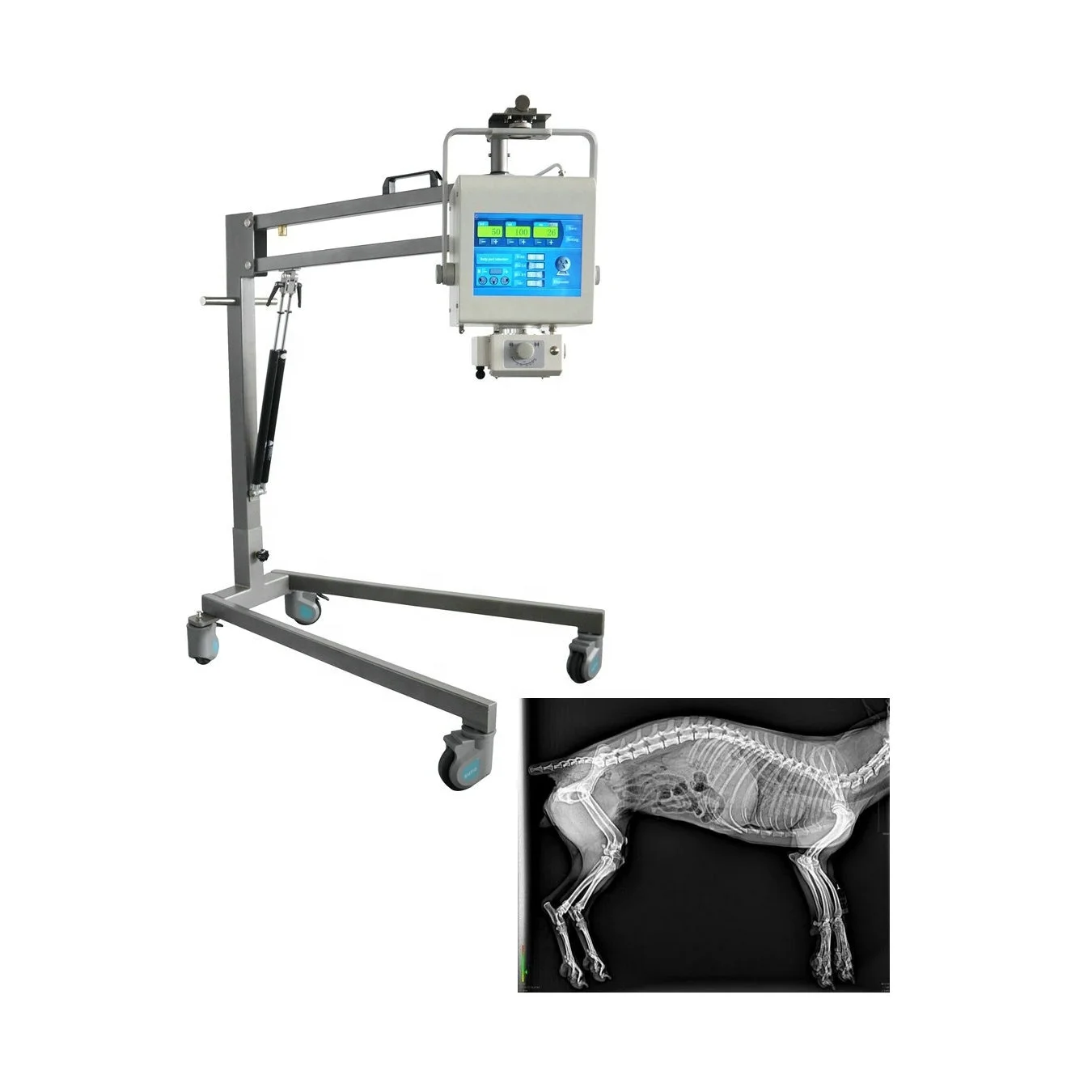 Медицинский цифровой 100ma мобильное рентгеновское оборудование портативный ветеринарный рентгеновский