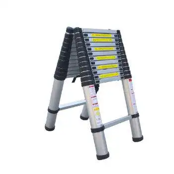 Double Telescopic Ladder