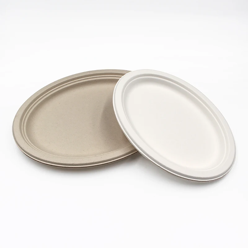 Hot Selling Eco-friendly Compostable Plates Square Round Sugarcane Plates With Various Popular Design