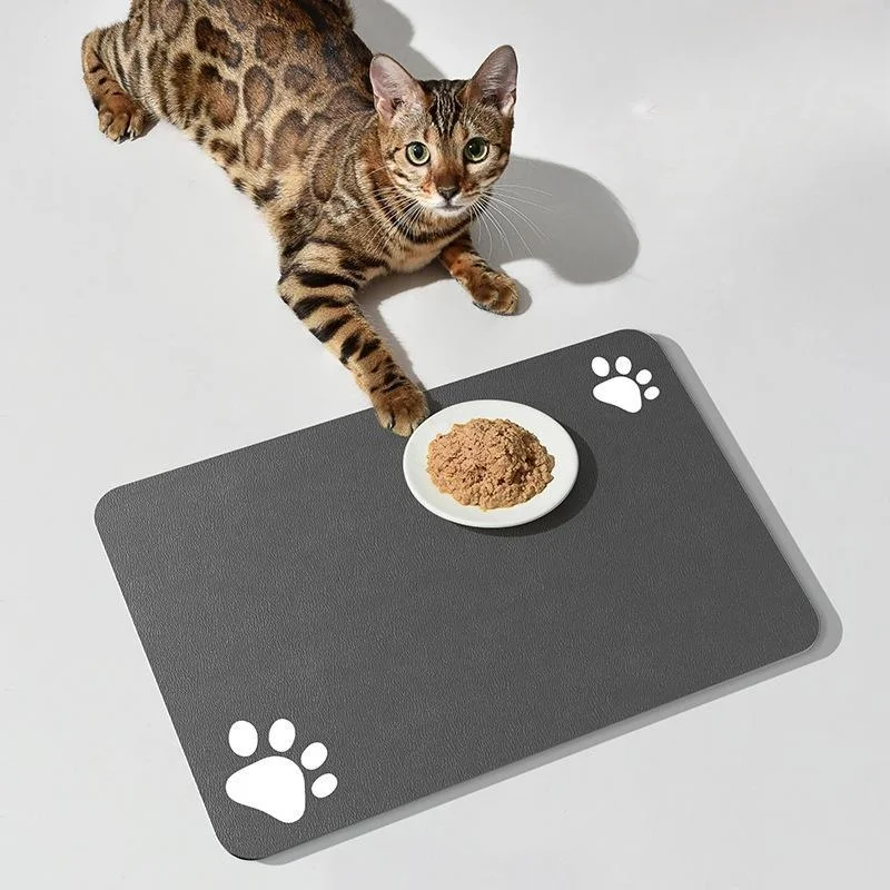 2024 Hot selling pet supplies pet silicone diatom mud anti slip waterproof splash proof feeding mat wholesale