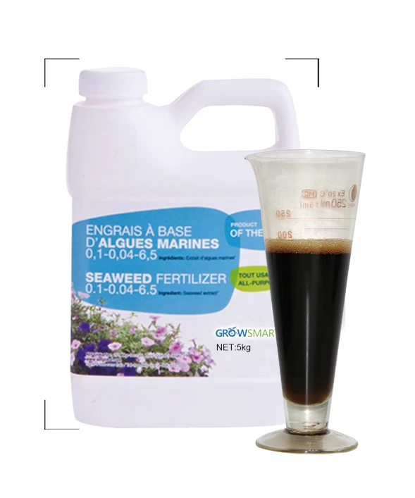 High Grade Organic Fertilizer Humic Acid Seaweed Liquid Fertilizer