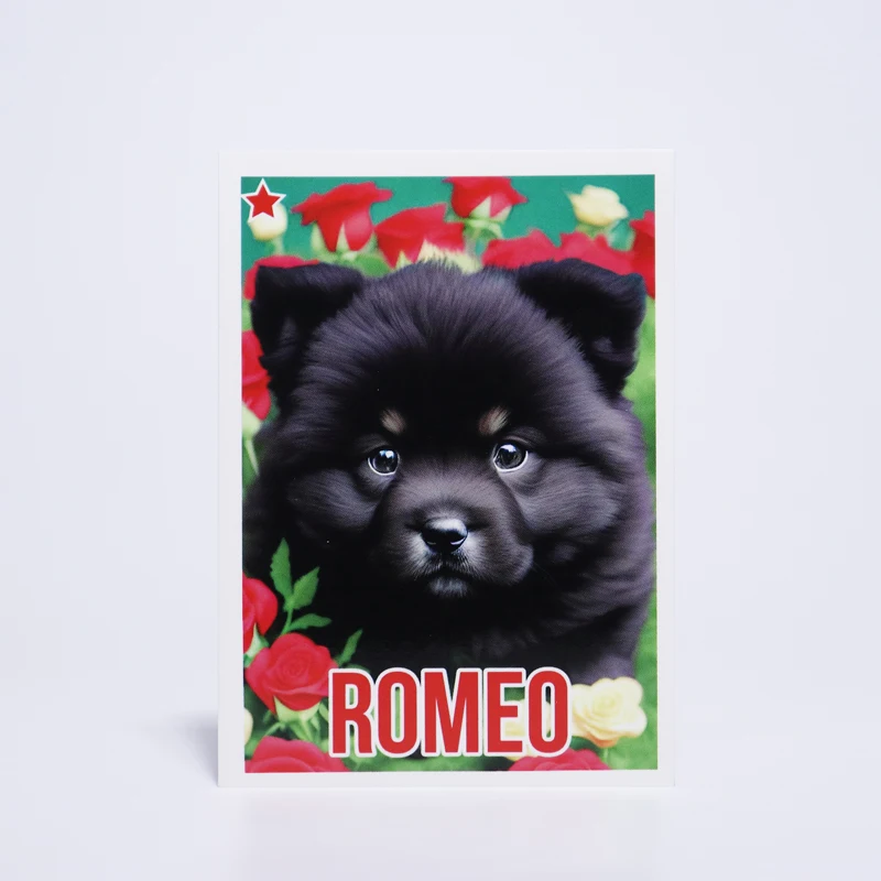 custom foil card game cards pack tcg foil booster pack storage box