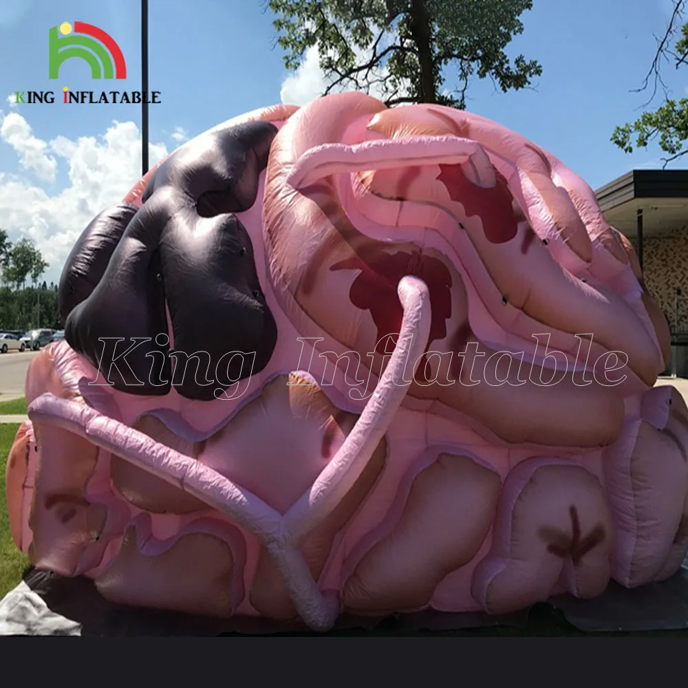 Giant Inflatable Brain Mental Health Sessions Exhibition Large Blow Up Human Big Brains Model
