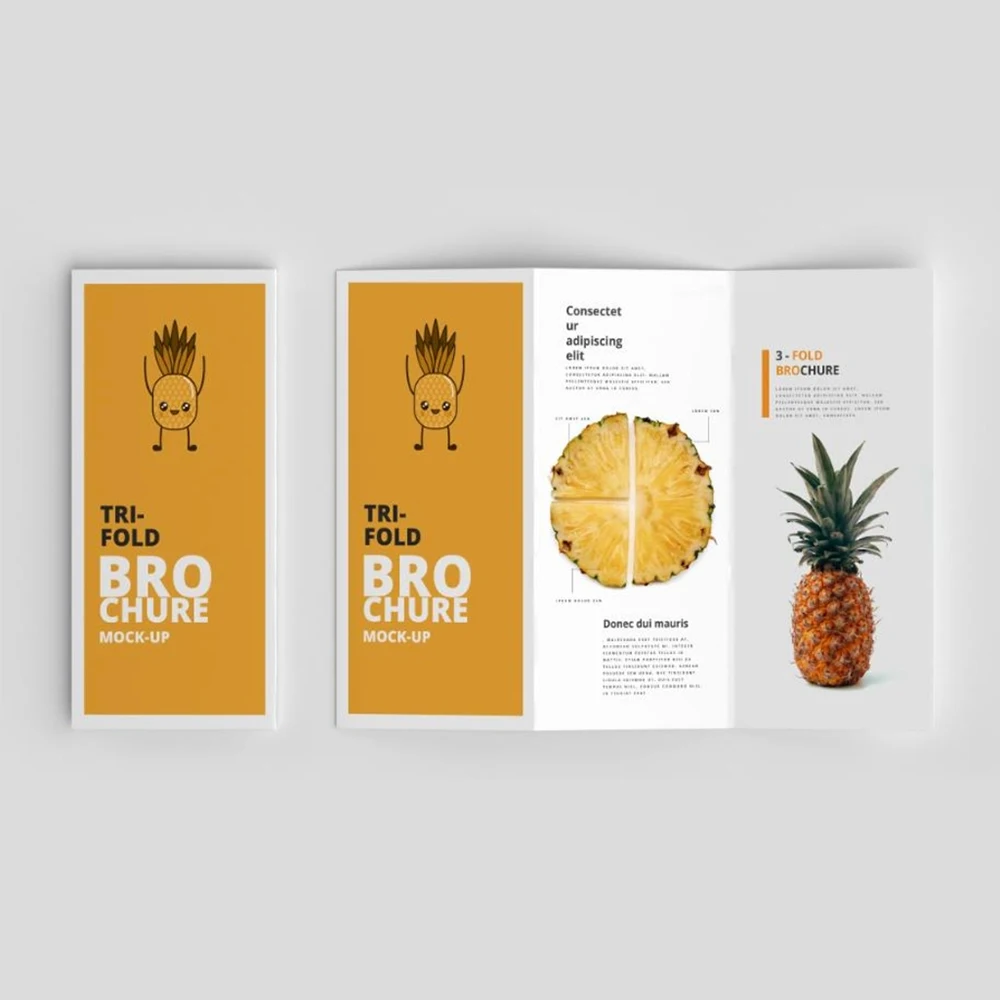 Custom Premium Coated Paper Logo Printing Folding Flyer Catalogue Pamphlet Brochure Booklet Instruction Manual Leaflet Printing
