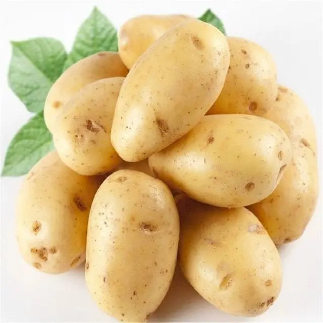 
Fresh Potato 