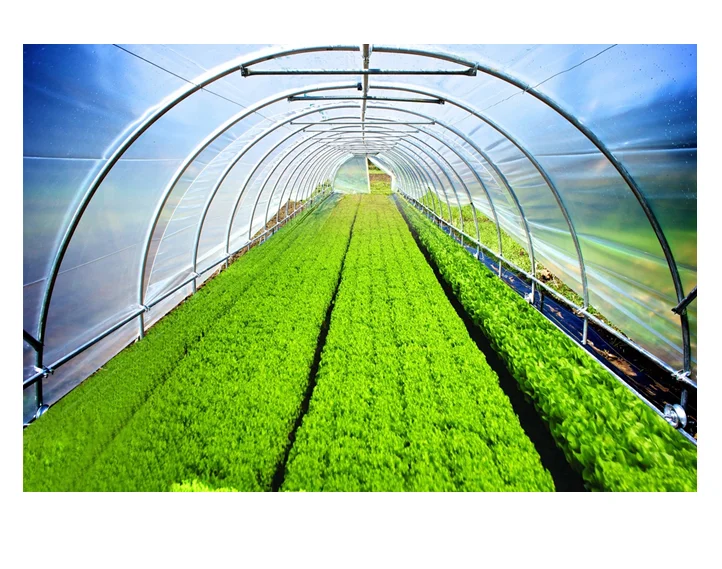 CommercialTunnel Film Greenhouse for Strawberry Agricultural Leno Fabric Garden Greenhouse