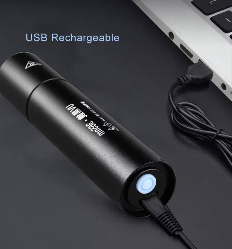 Popular 365nm Ultraviolet Blacklight Detector Mini Portable LED Flashlight USB Rechargeable Waterproof Purple Light Torch Light