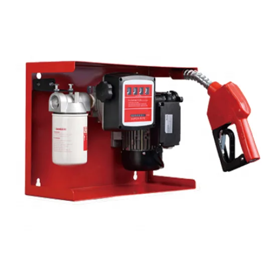 Portable electric fuel transfer pumps diesel kit 60LPM AC diesel transfer pump set with flow meter 220V oil transfer pumps