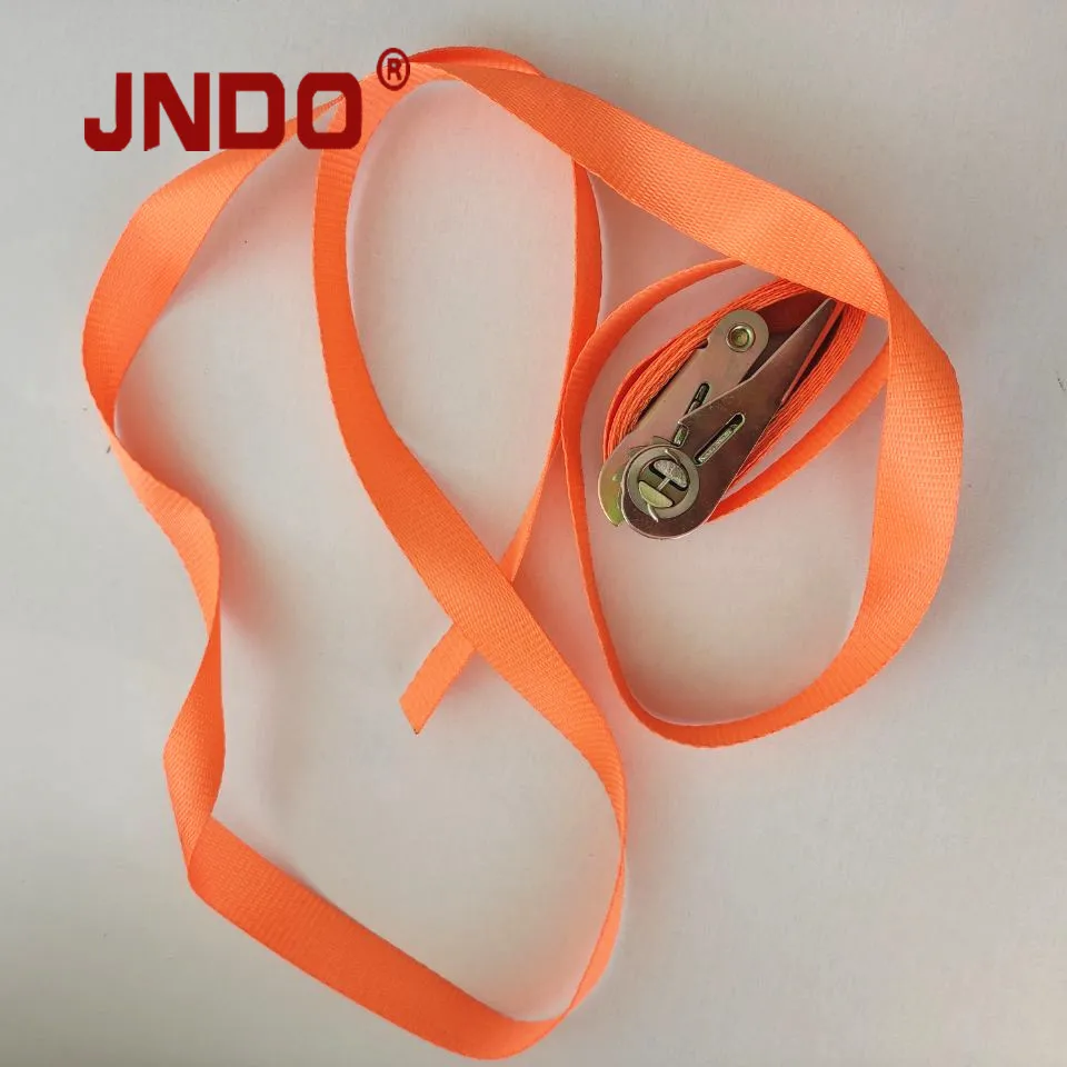 800kgs 25mm Width Polyester Endless Loop Ratchet Strap Webbing Sling Belt
