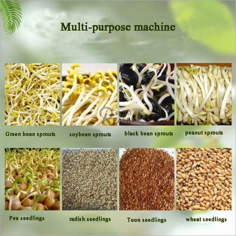 Multi-Layered Good Performance Automatic Bean Sprout Growing Machine Commercial Mung Bean Sprout Machine