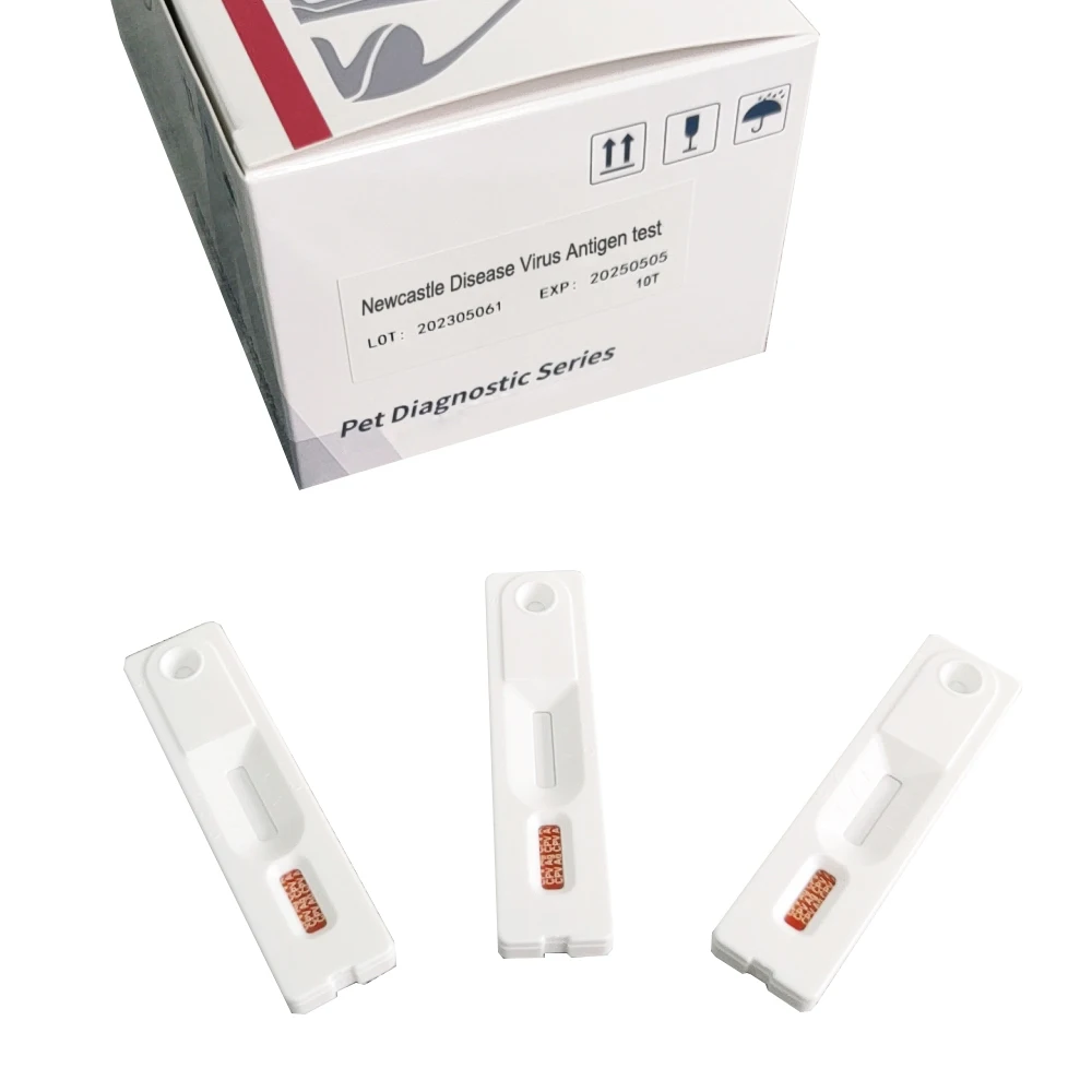 Wholesale Veterinary Tests Feline Herpesvirus Antigen Rapid Test Kit FHV Ag