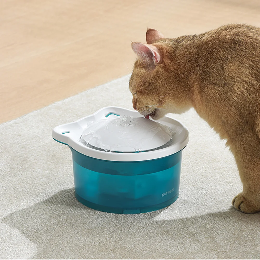 Wireless pump 360 degree drinking area automatic noise free Pets cat smart pet Water Fountain