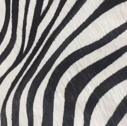 Genuine horse fur fabric zebra stripe black stripe fur fabric for sofa furniture raw material