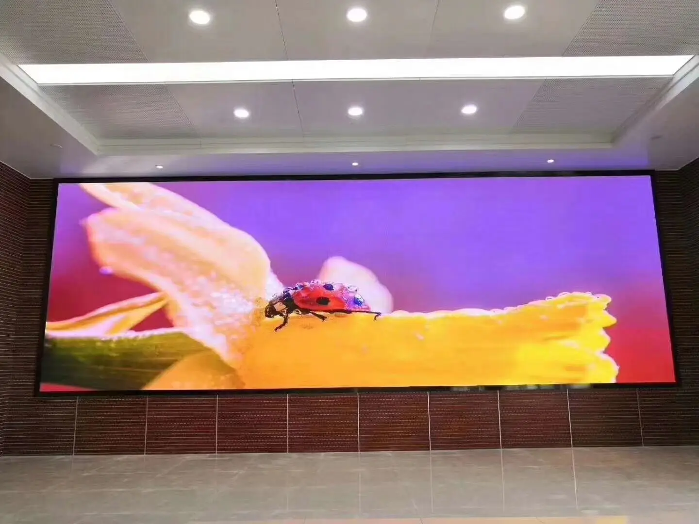 P2.5 Indoor RGB 128x32 Dot Matrix LED Display Module Video Wall Fixed LED Display Panel
