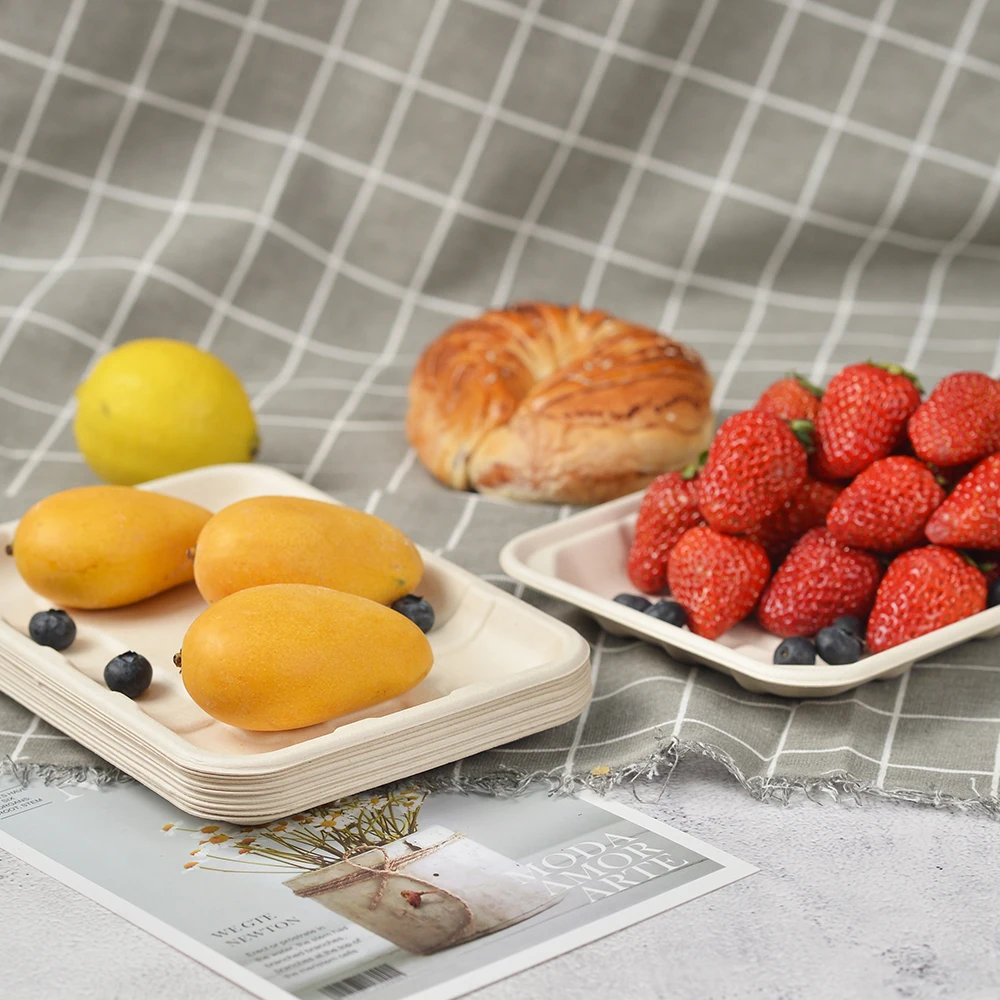 10 inch 3 compartment disposable paper tableware food container biodegradable paper plate