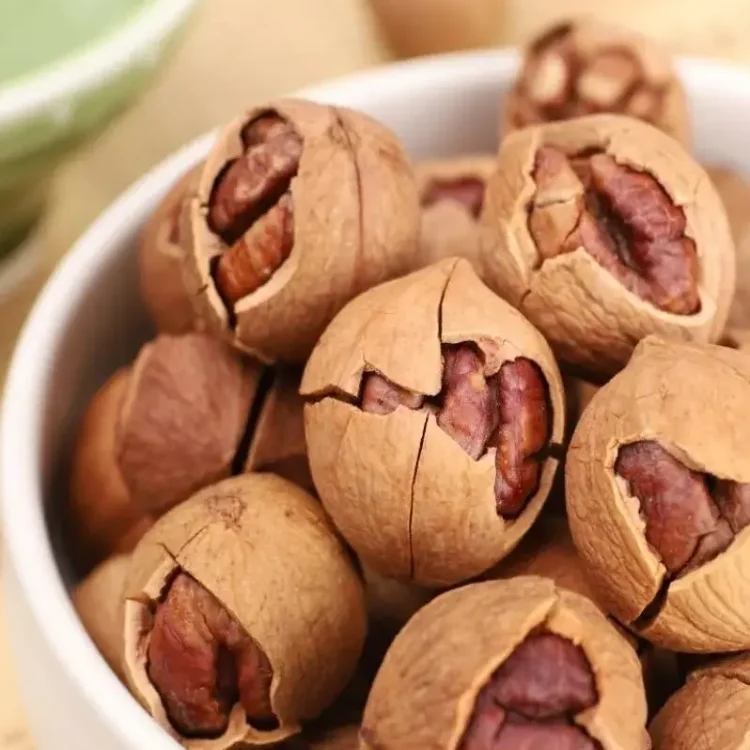Whole sale of high quality pecan origin China