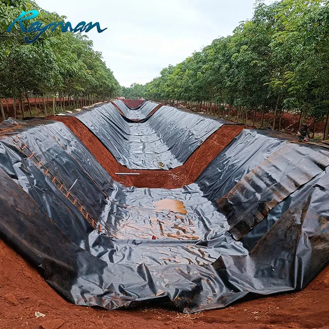 1.0mm 1.5mm HDPE Geomembrane 0.5mm 0.75mm HDPE Geomembranes Pond Liner for Pond Dam Water Harvesting Structure HDPE Geomembrane