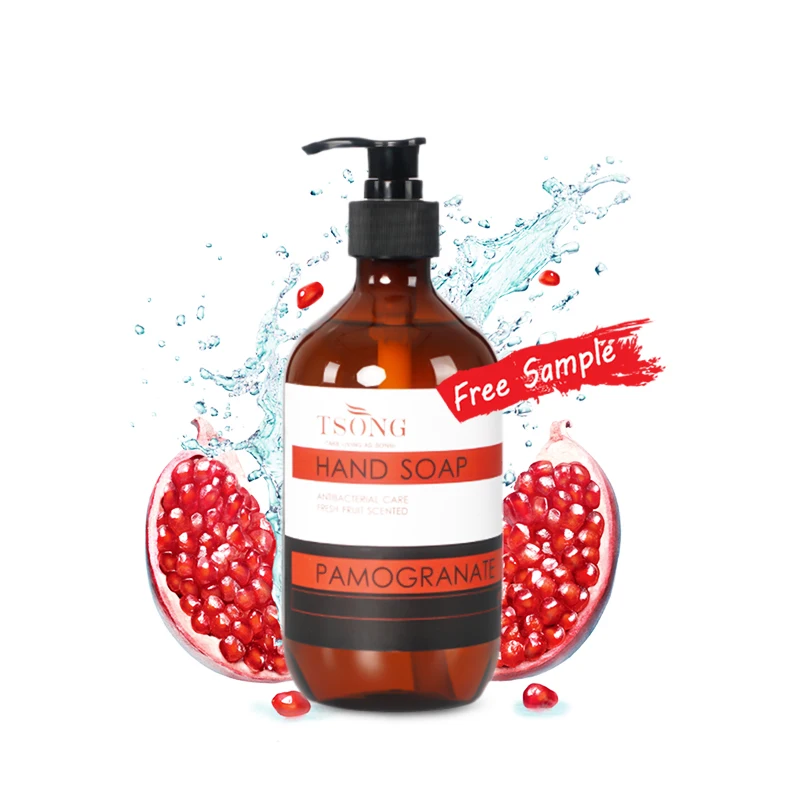 OEM Manufacturing Process Liquid Hand Wash Bottle 500ml Liquid Hand Soap for Hand