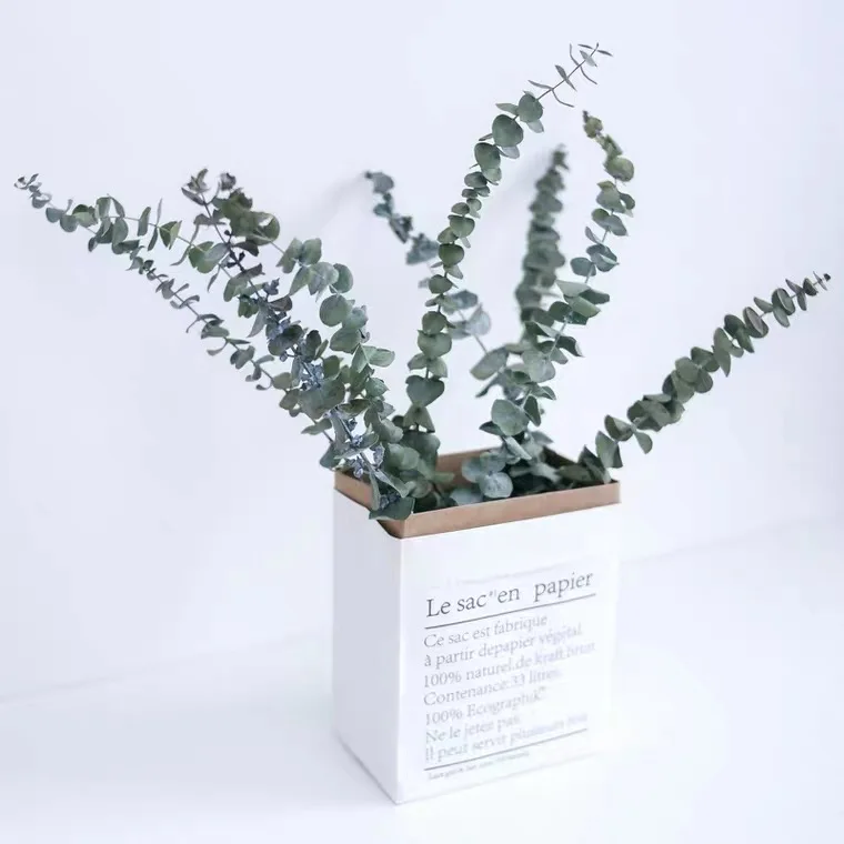 Premium Quality Christmas Decoration Flower Dried Eucalyptus Leaves for Home Decor