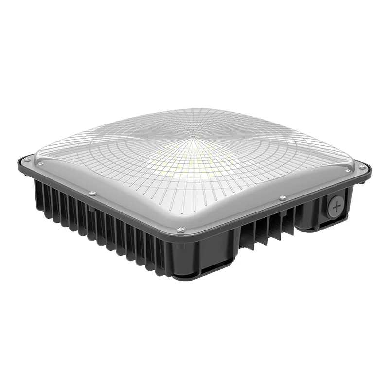 AC100-277V/50-60 Гц 40 Вт 60 Вт 80 Вт 100 Вт 120 Вт ETL светодиодные светильники для масляной станции