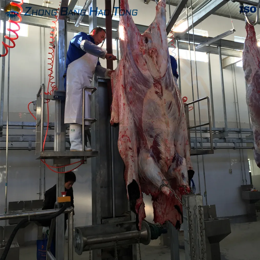 Cattle Abattoir Machine Hide Flaying Equipment For Cattle Slaughterhouse