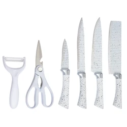 Wholesale Quality New Design Household Kitchen Knife 6 Pieces Of Stainless Steel Plastic Handle Set