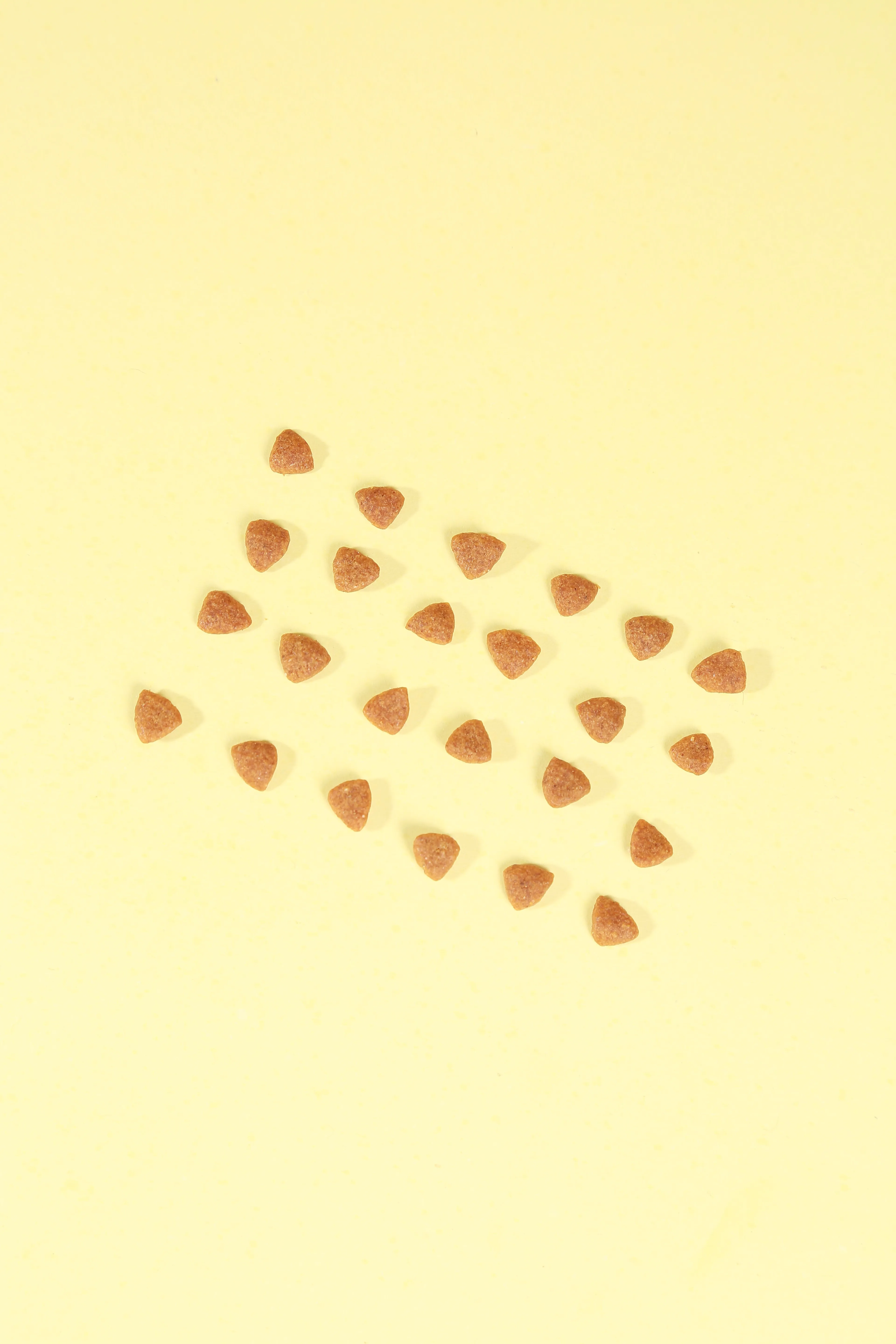 Custom private label fresh meat dog food dry dog and cat food packaging feed