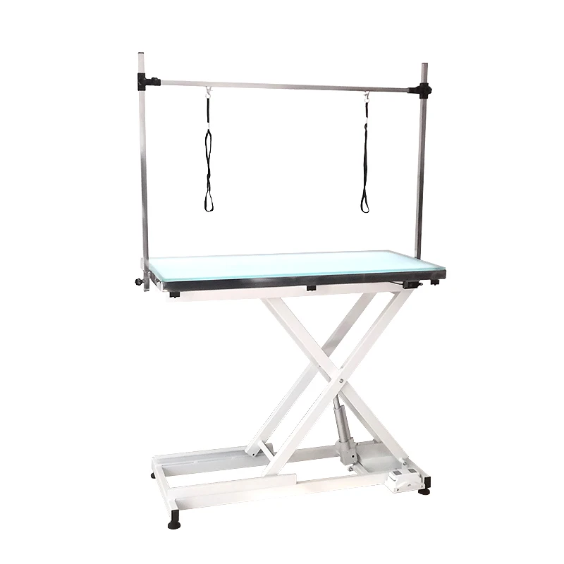 Electric Cross Lifting LED Light Pet Large Dog Grooming Table Sustainable and Charged Power Source on Sale