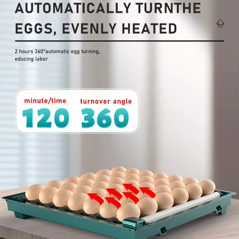 Automatic Temperature Control 42 Eggs Hatching Machine Fully Automatic Poultry Egg Incubator