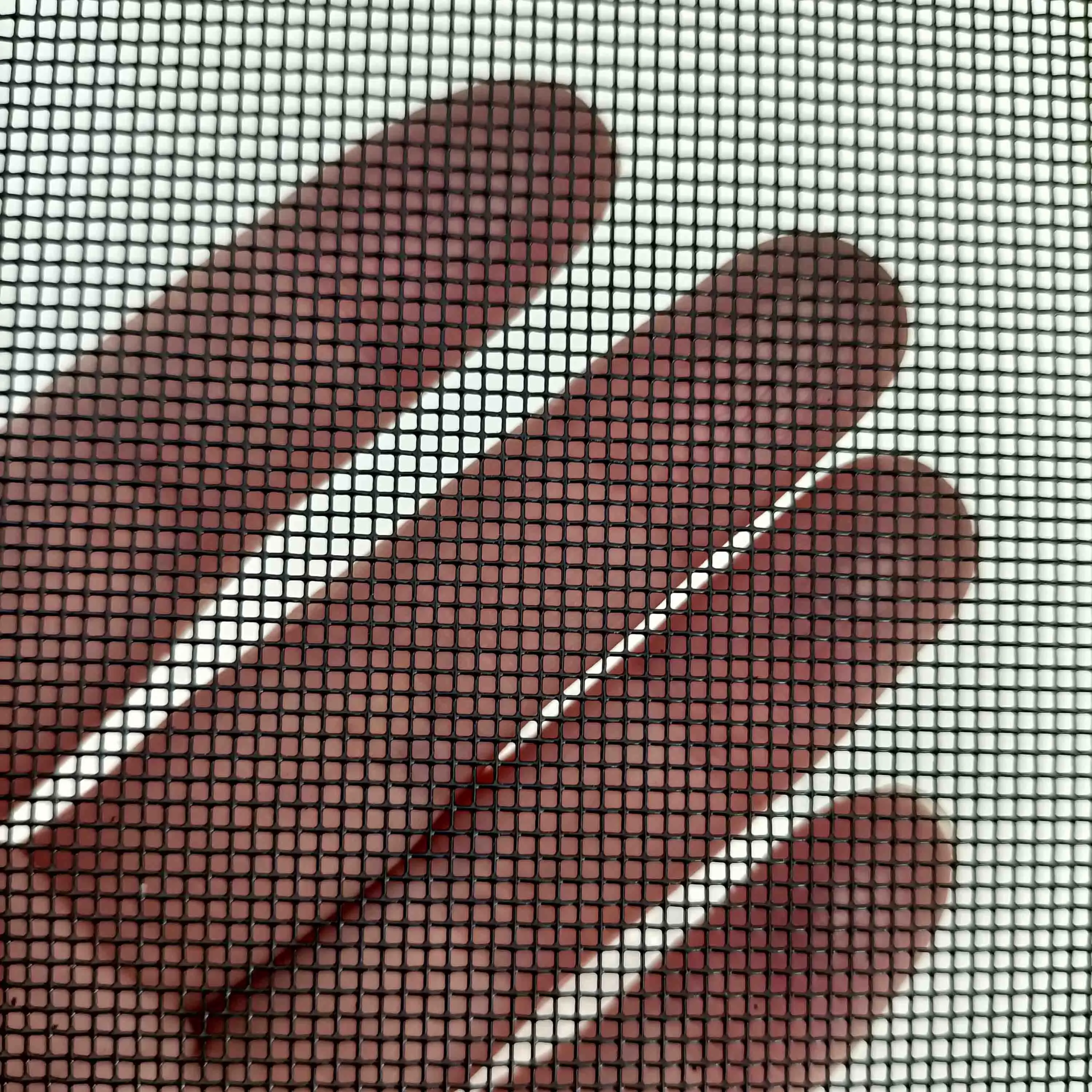 Anping 304 Stainless Steel Window Mosquito Screen Net for Windows