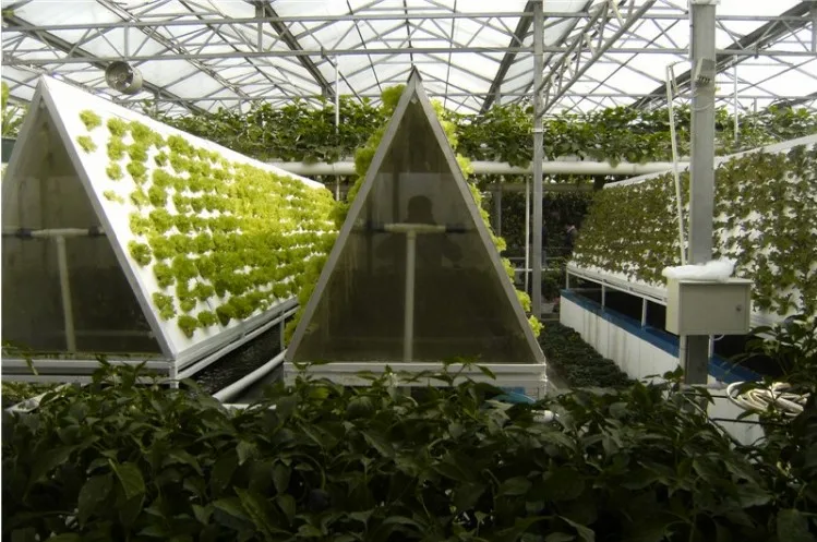 China Modern Agriculture Aeroponics Culture System for Vegetables/Fruits