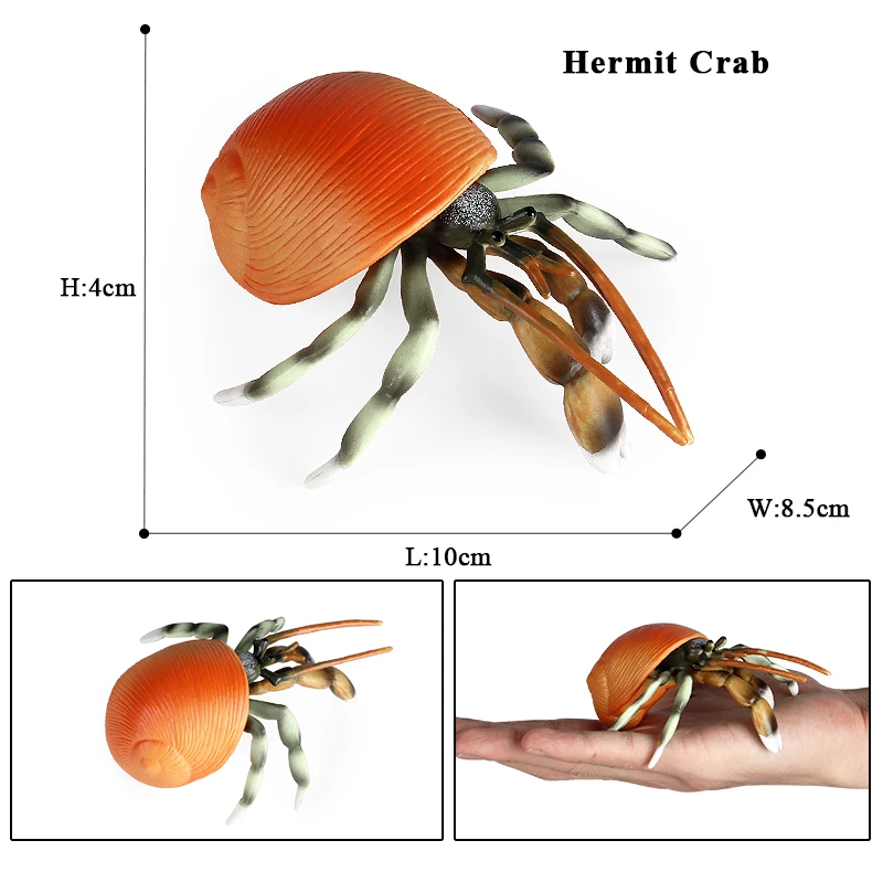 Oenux Wholesale Simulation Ocean Animal Action Figures Sea Life Crab Nautilus Shrimp Squid Model Figurines Education Gift Toy