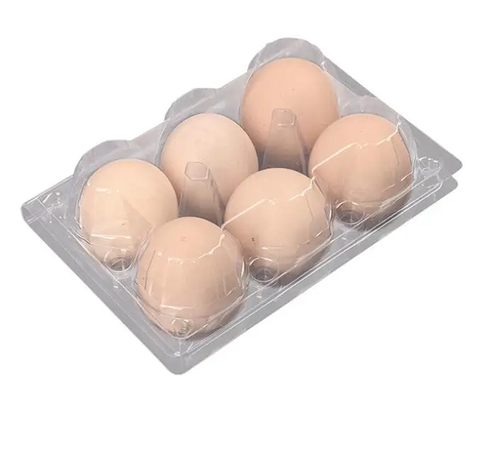 6 cells Wholesale plastic egg tray Custom High Quality Clear PET Transparent Rectangle 6 holes Blister Egg Trays