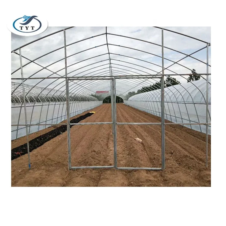 Factory direct sale greenhouse for agriculture used in  farm vegetables fruits PE film single span projects
