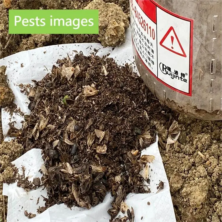 10 Years Factory Horse Fly Trap with Light Trap for Greenhouse Best Price Electric Insect Trap