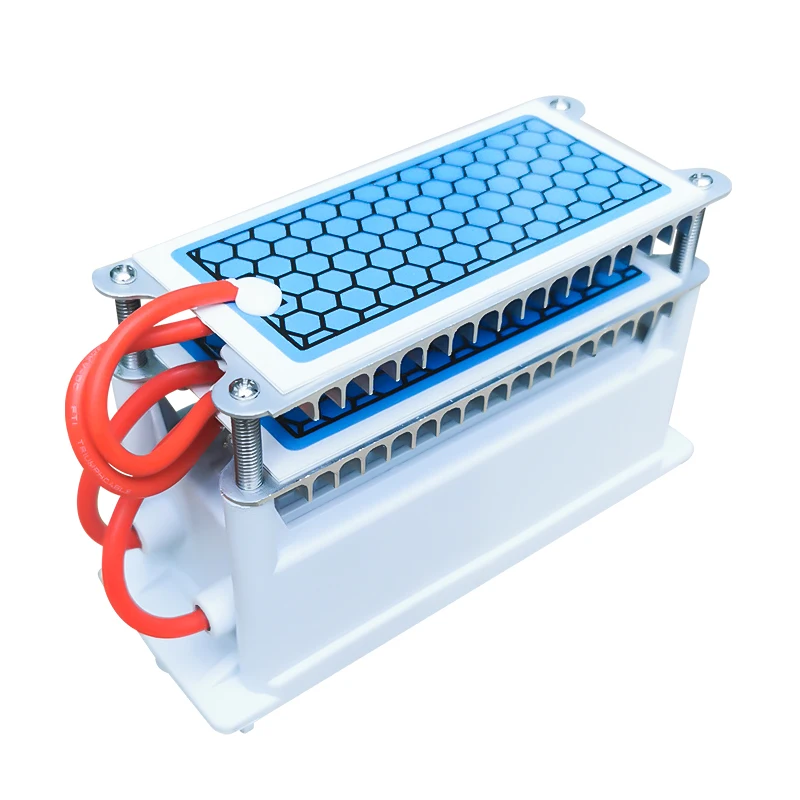 12V 24V 110V 220V 10g ozone ceramic plate ozone generator parts for air purifier air ozonizer machine