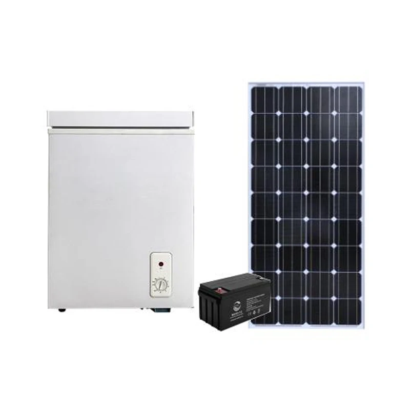 308L low price 12v 24v compressor cooling dc solar deep freezer BD/BC-308
