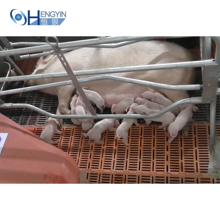 Factory Direct Sale OEM  Massive production sample free plastic slatted floor for goat sheep farming plastic floors for pigs