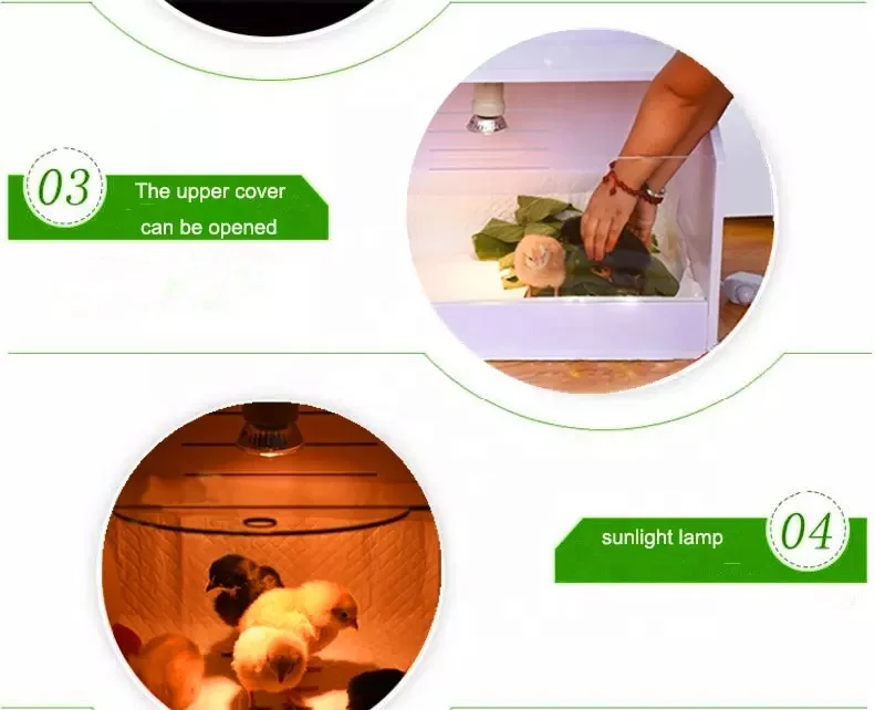 chick breeder warm baby chick poultry farm equipment