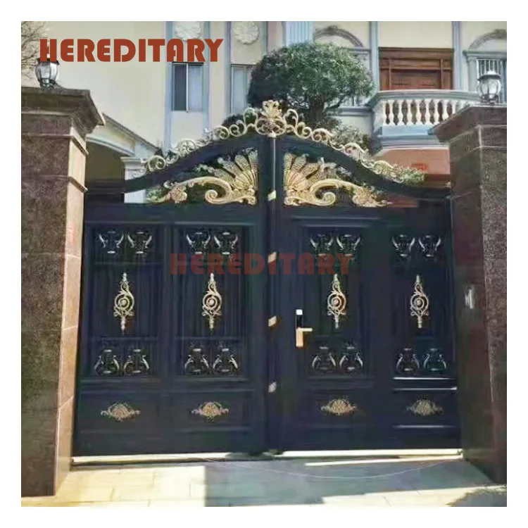 Indian house main gate systems designs with swing motor
