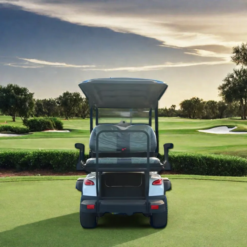 TongCai dynamic sporty enthusiastic versatile and lively four-seater electric golf buggy