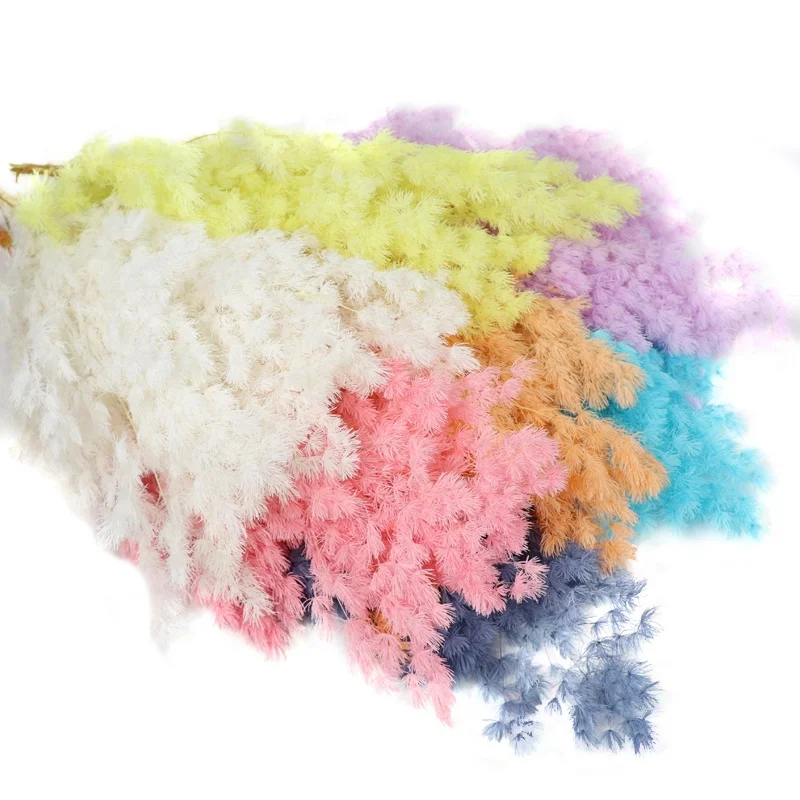 Romantic Real Touch Flower Bouquet Preserved Asparagus Myrioeladus Ming Fern Everlasting Flower DIY baby pampas asparagus