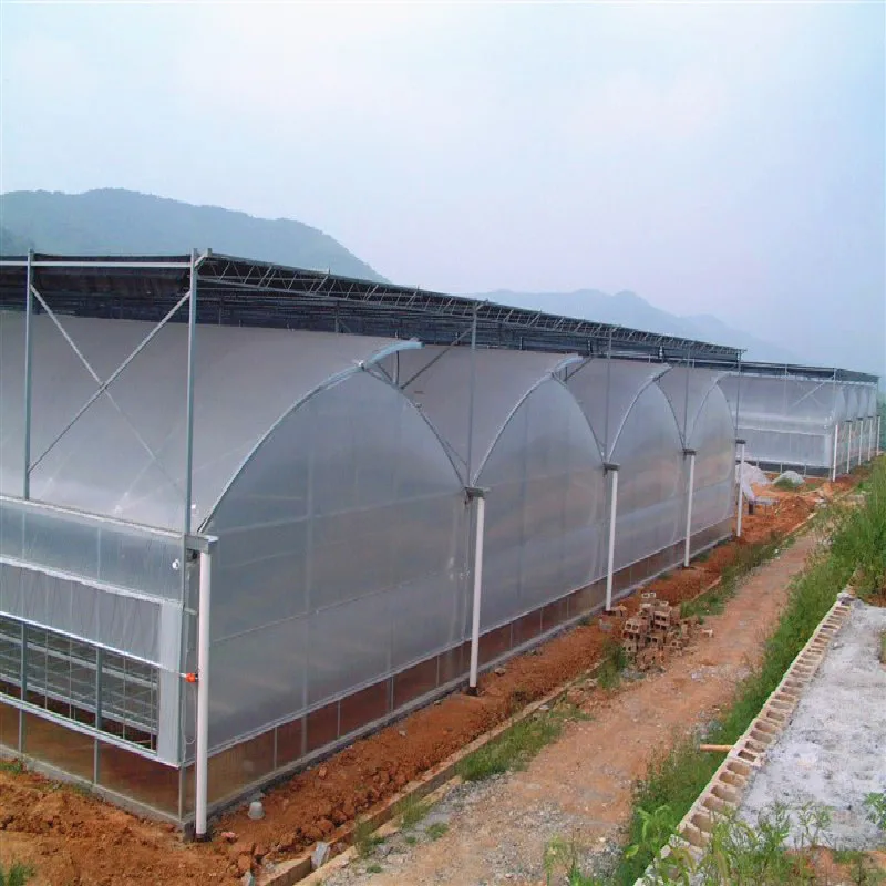 China Hot Galvanized Steel Skeleton PC Greenhouse for Planting Vegetables/Fruits/Flowers