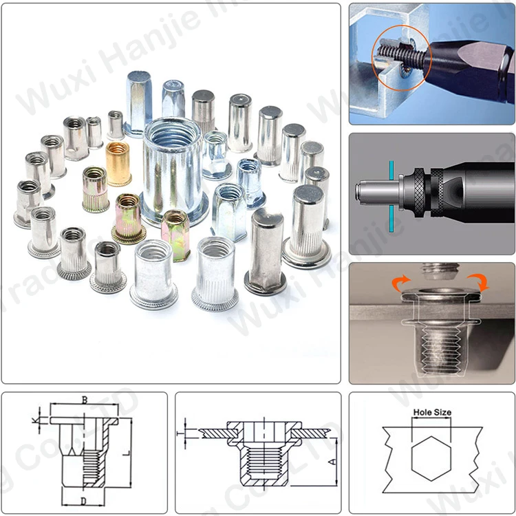 Furniture Use Hot Sale Stainless Steel CSK Head Plain Body Rivet Nuts with Open End